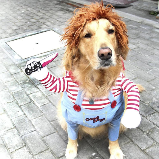 Chuck de fantasía canina para Halloween