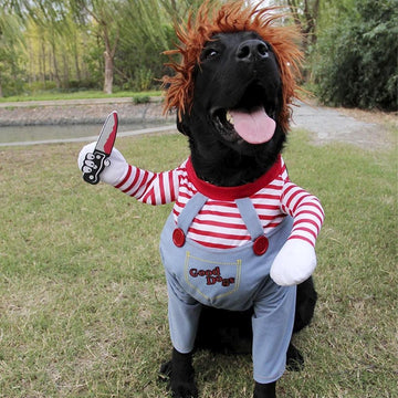 Chuck de fantasía canina para Halloween